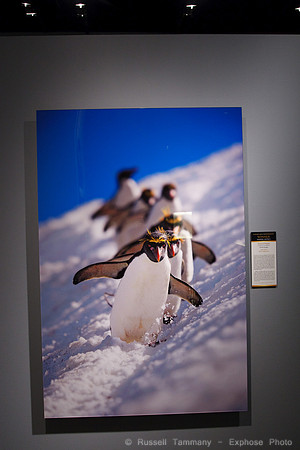 National Museum of Natural History