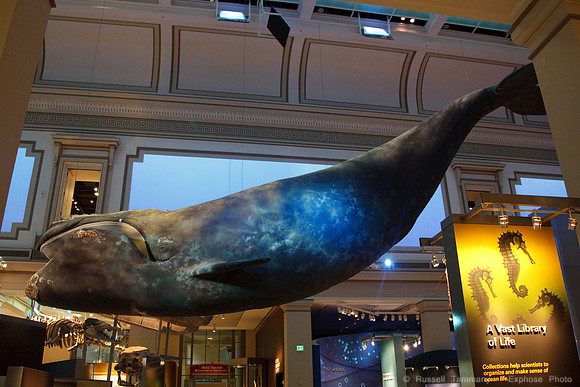 National Museum of Natural History
