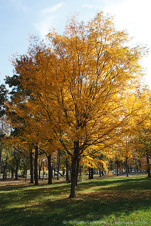 Washington D.C.