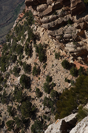 Grand Canyon NP