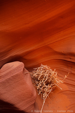 Rattlesnake Canyon