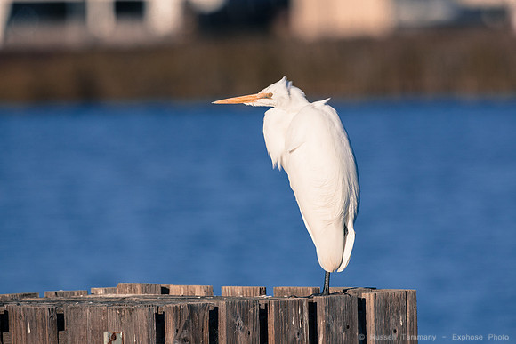 San Pablo Bay Area