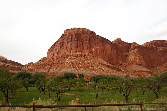 Capitol Reef NP