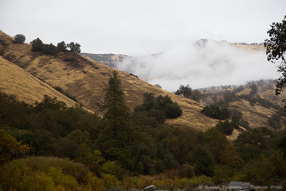Along Trimmer Springs Rd