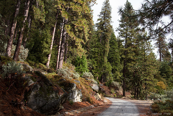 Sierra National Forest - Blackrock Rd