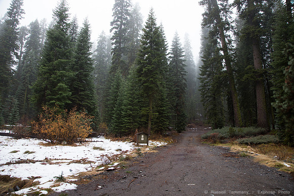 Sierra National Forest - Blackrock Rd