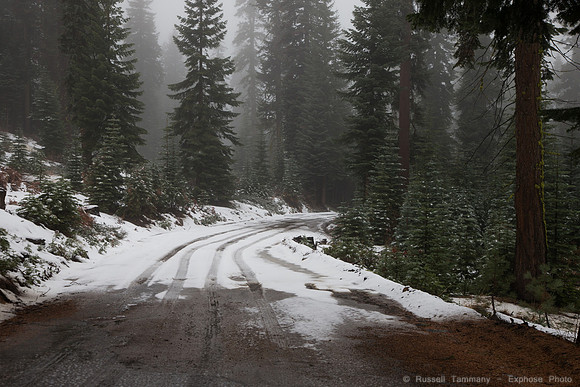 Sierra National Forest - Blackrock Rd