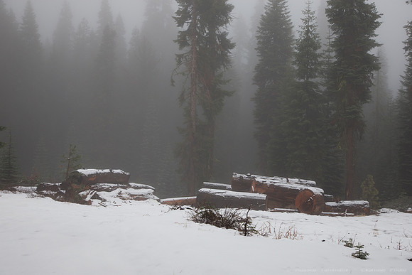 Sierra National Forest - Blackrock Rd