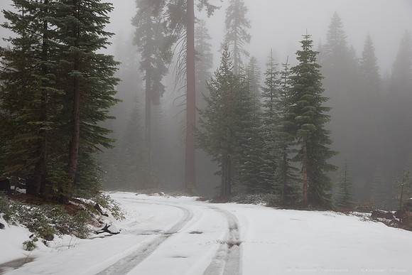 Sierra National Forest - Blackrock Rd