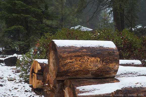 Sierra National Forest - Blackrock Rd