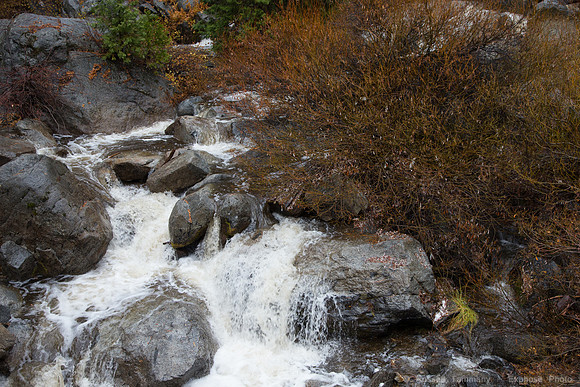 Sierra National Forest, McKinley Grove Rd