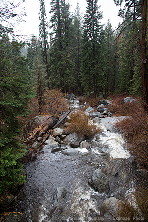 Sierra National Forest, McKinley Grove Rd