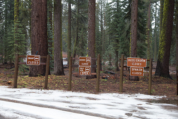 Sierra National Forest, McKinley Grove Rd