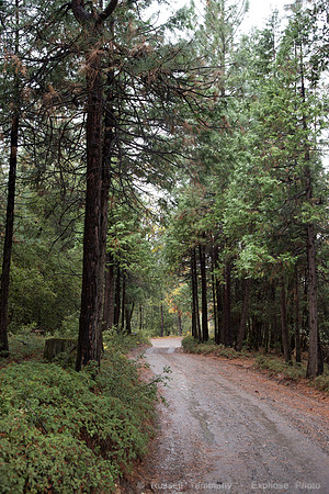 Musik Farm Rd to Redinger Lk