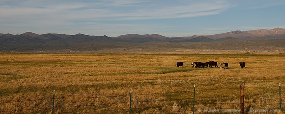 US 395 S towards Bishop
