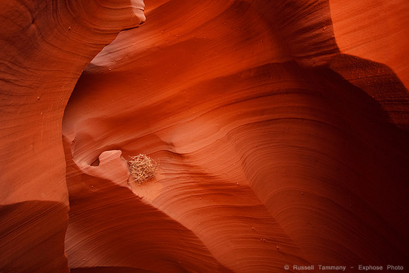 Rattlesnake Canyon
