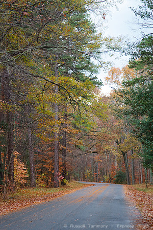 Fredericksburg, VA