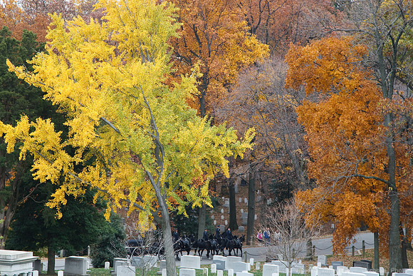 Arlington National Cemetary