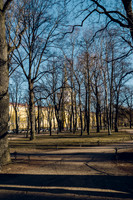 DSC01052