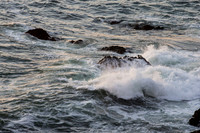 Bodega Coast