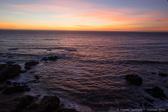 Bodega Coast