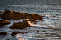 Bodega Coast
