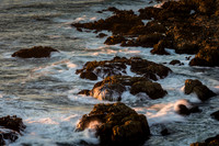 Bodega Coast