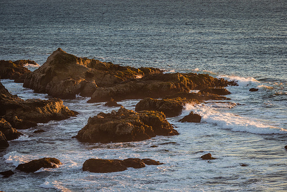 Bodega Coast