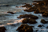 Bodega Coast