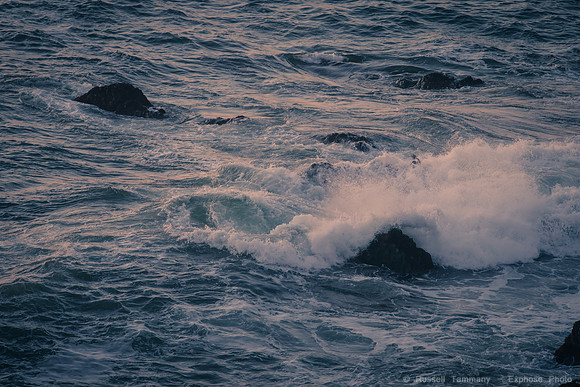 Bodega Coast