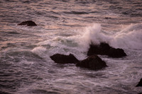 Bodega Coast