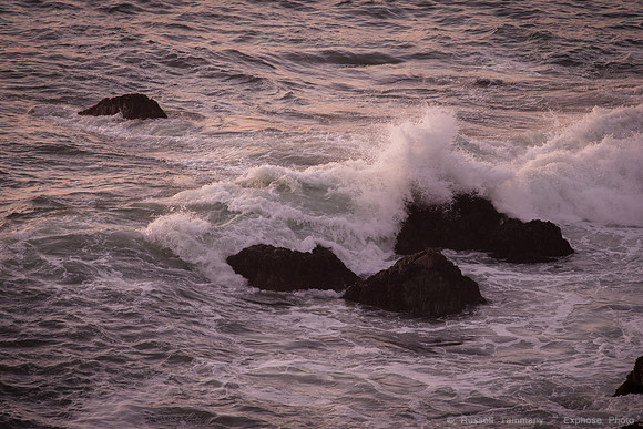Bodega Coast