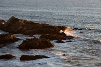 Bodega Coast