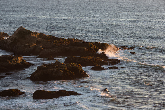 Bodega Coast