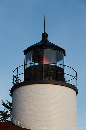 1DX_0690