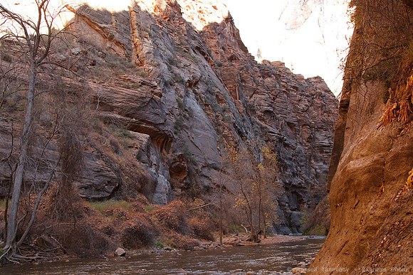 Zion NP, UT