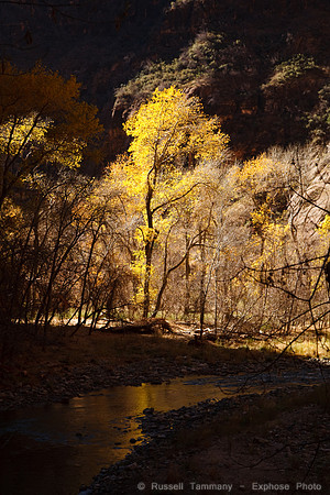 Zion NP, UT
