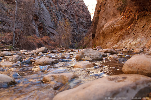 Zion NP, UT