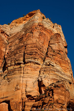 Zion NP, UT