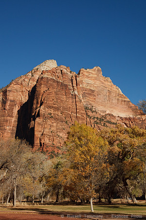 Zion NP, UT