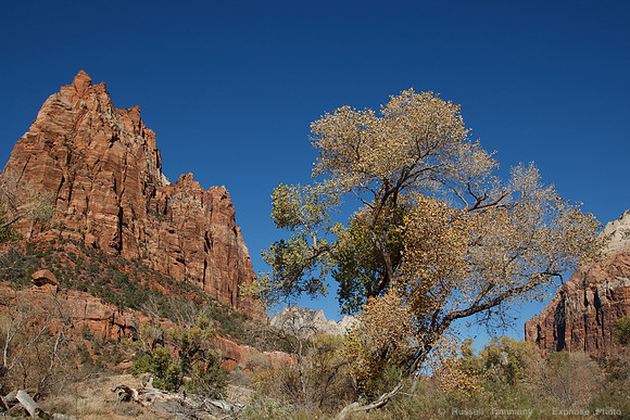 Zion NP, UT