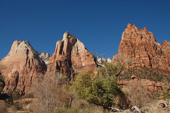 Zion NP, UT