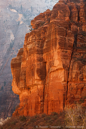 Zion NP, UT