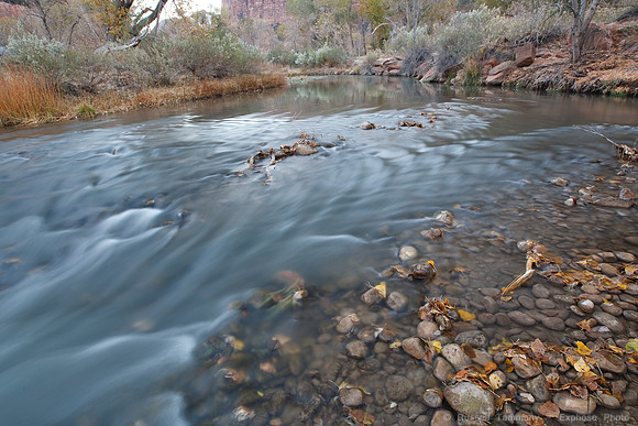 Zion NP, UT