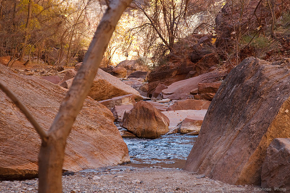 Zion NP, UT