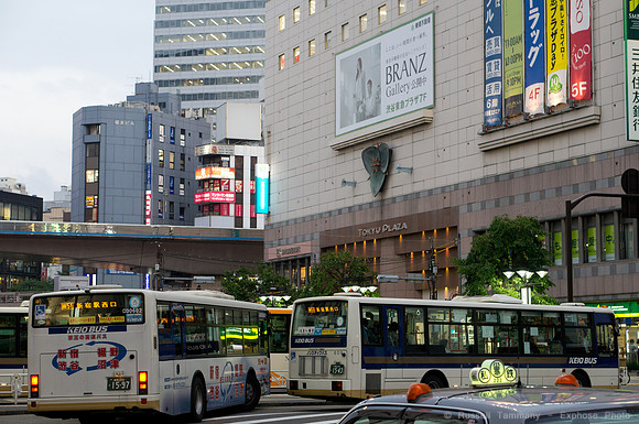 Shibuya, Tokyo, JP