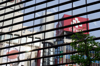 Shibuya, Tokyo, JP