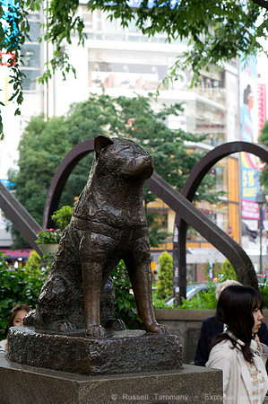 Shibuya, Tokyo, JP