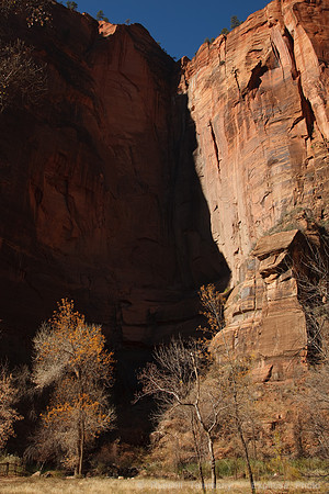 Zion NP, UT