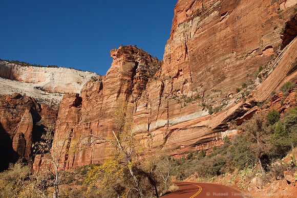 Zion NP, UT